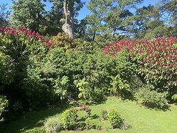 Tierra Magica B&B and Art Studio