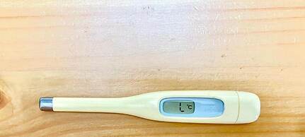 The Guest House Tokyo Azabu - Hostel