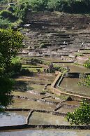 Ayubo Ella - Bed & Breakfast