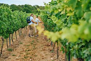 Hofgut Wißberg - Das Weinberghotel