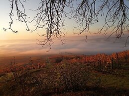 Hofgut Wißberg - Das Weinberghotel