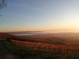 Hofgut Wißberg - Das Weinberghotel