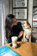 Pullman Viña del Mar San Martín