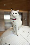 Pullman Viña del Mar San Martín