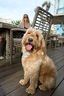 Pullman Viña del Mar San Martín