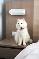 Pullman Viña del Mar San Martín