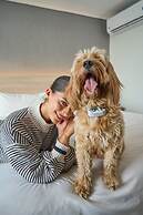 Pullman Viña del Mar San Martín