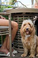 Pullman Viña del Mar San Martín