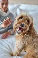 Pullman Viña del Mar San Martín