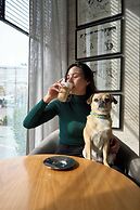 Pullman Viña del Mar San Martín