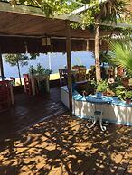 Dolphin Boutique Hotel