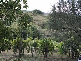 Antico Casale di Campagna