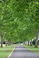 Moorcroft Manor Boutique Country Hotel