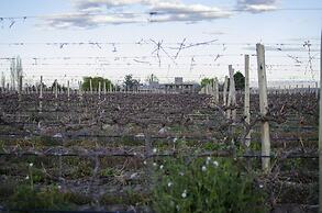 Casa de Huespedes La Azul