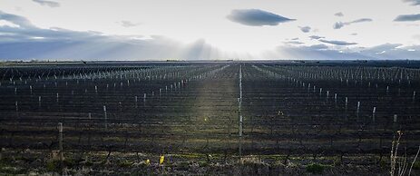 Casa de Huespedes La Azul