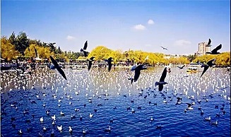 Upland International Youth Hostel