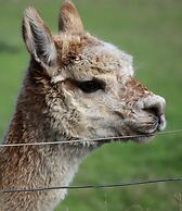 Cherry Plum Cottages