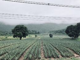 Orchard Pa La U