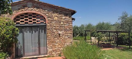 Fattoria Casa Sola