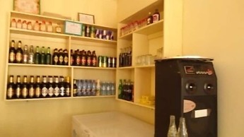 Green Oasis Guest House and Tours