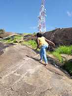 Green Oasis Guest House and Tours