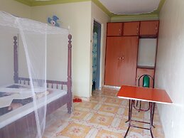 Green Oasis Guest House and Tours