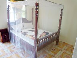 Green Oasis Guest House and Tours