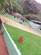 Green Oasis Guest House and Tours