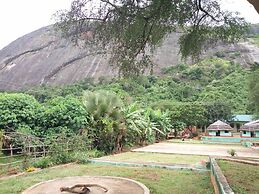 Green Oasis Guest House and Tours