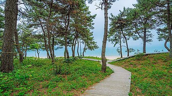 Wando Sol Beach Pension