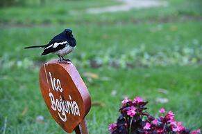 Emirates Luxury Apartments