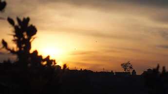 Emirates Luxury Apartments