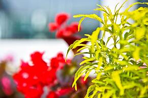 Emirates Luxury Apartments