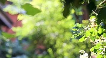 Baannoi Nornmuan Home