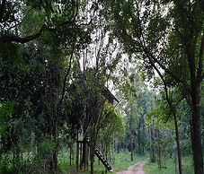 Eighth Wonder Resort