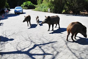 Izmir Tatil Evi Beach Resort