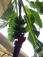 Izmir Tatil Evi Beach Resort