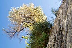 Semeli Boutique Hotel