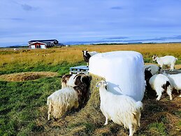 Skálatjörn Guesthouse