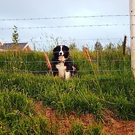 Skálatjörn Guesthouse