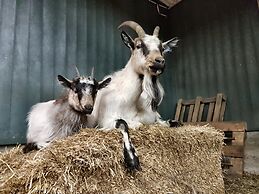 Skálatjörn Guesthouse