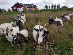 Skálatjörn Guesthouse