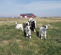 Skálatjörn Guesthouse