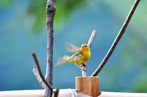 Pousada Capim Limão