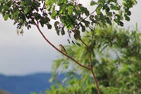 Pousada Capim Limão