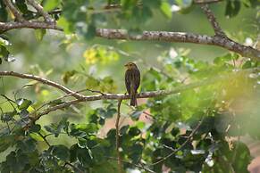 Pousada Capim Limão
