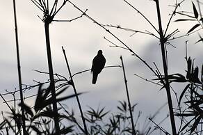 Pousada Capim Limão