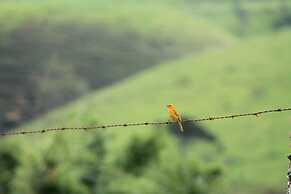 Pousada Capim Limão