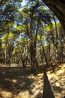 Club Nature Village