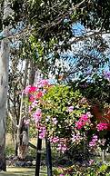 Crows Nest Motel